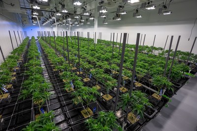 Las Vegas Cultivation Facility (CNW Group/1933 Industries Inc.)