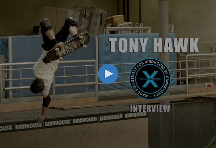 tonyinterview